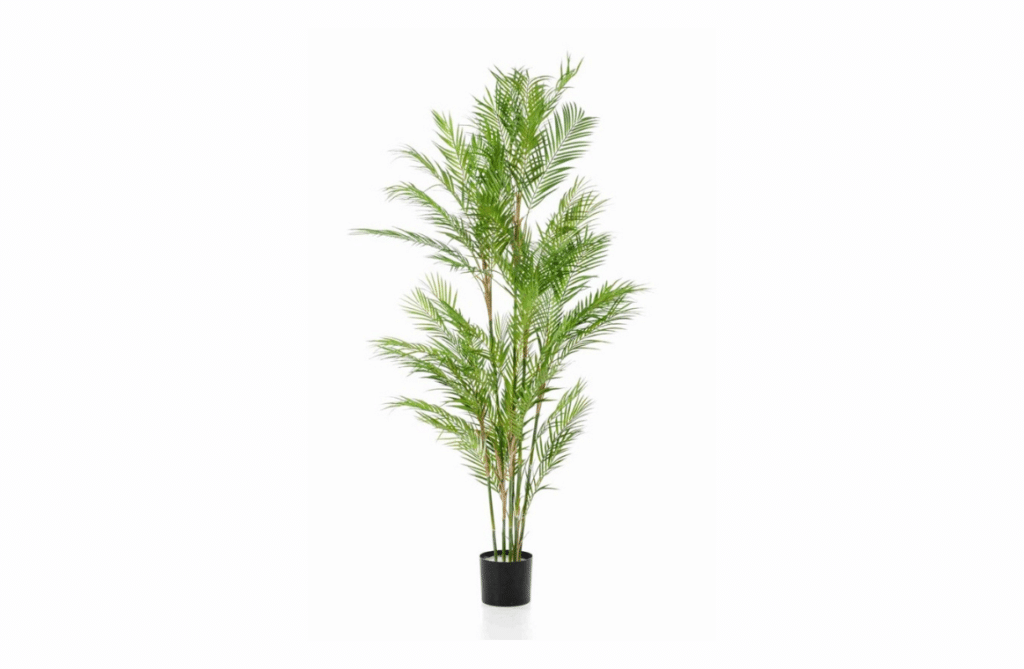 Nova Design & Build - Plante Artificiale - Palmier artificial Chamaedorea - 180 cm