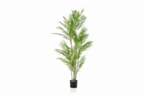 Nova Design & Build - Plante Artificiale - Palmier artificial Chamaedorea - 180 cm