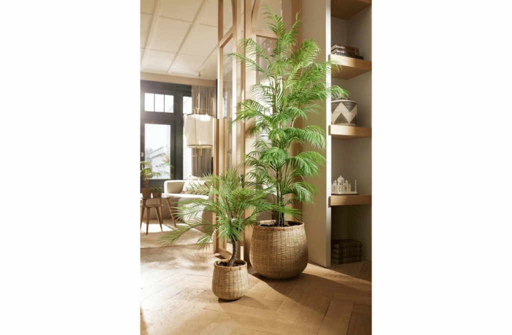 Nova Design & Build - Plante Artificiale - Palmier artificial Chamaedorea - 180 cm - Setting