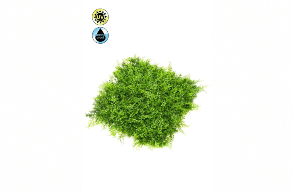 Nova Design & Build - Perete verde - Fern-Juniperus - 50 x 50 cm