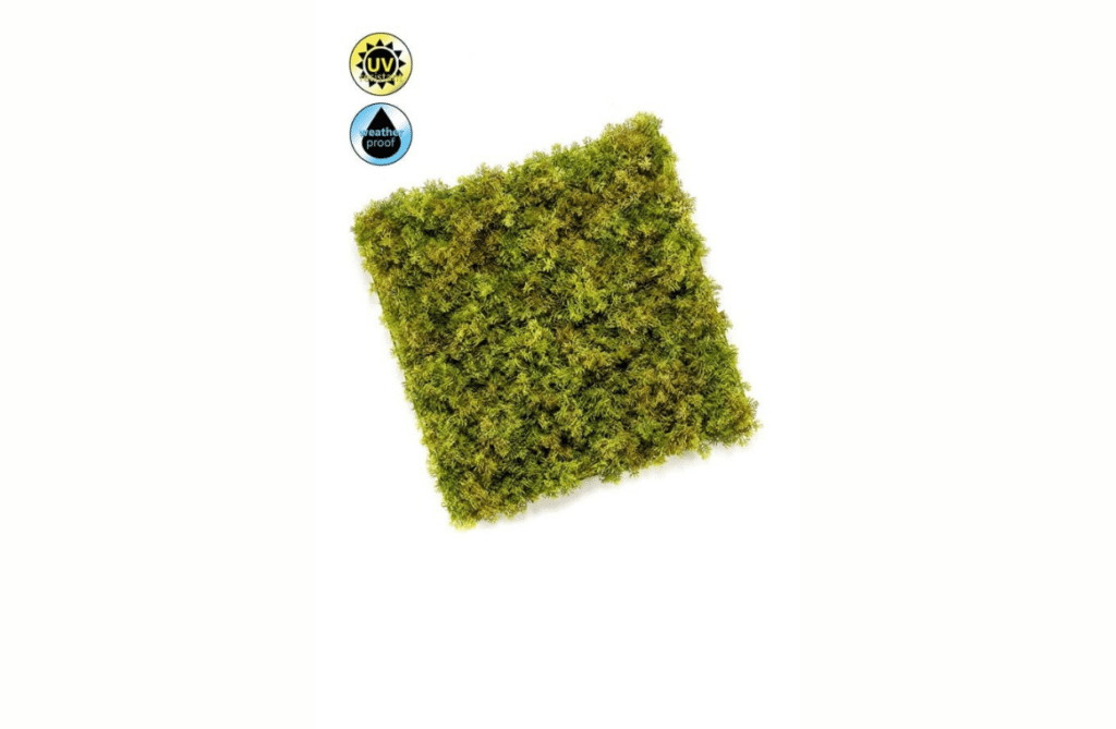 Nova Design & Build - Perete verde - Iceland moss - 50 x 50 cm