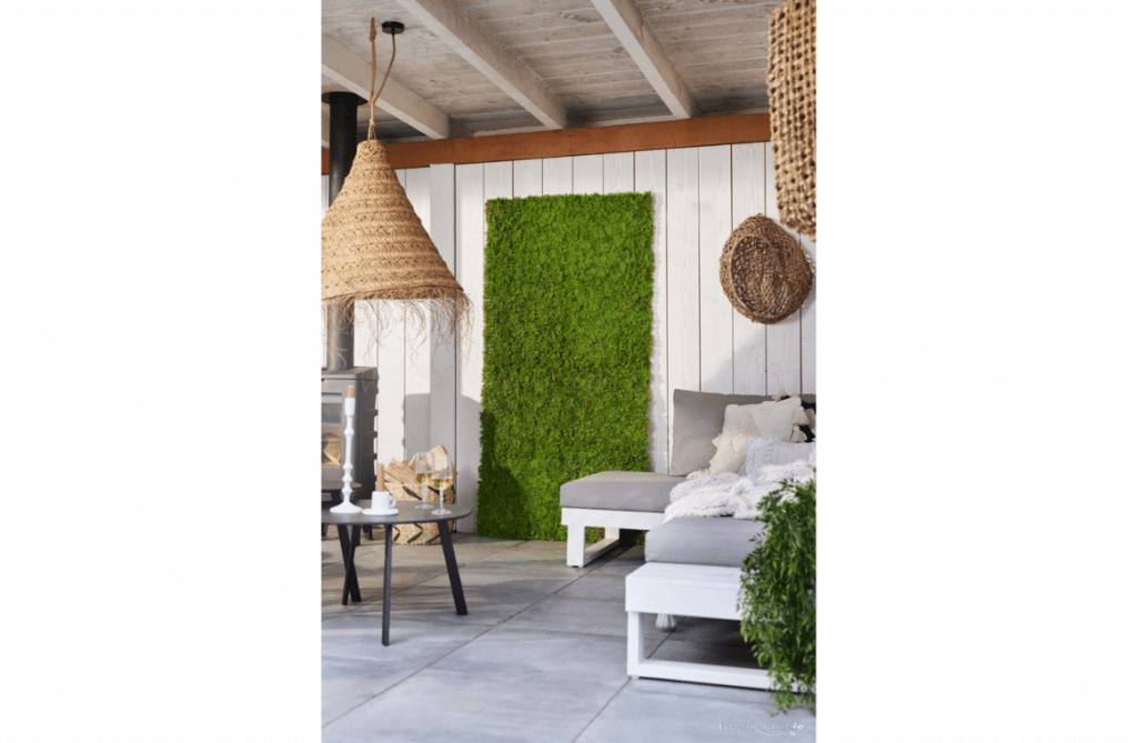 Nova Design & Build - Perete verde - Iceland moss - 50 x 50 cm - Setting