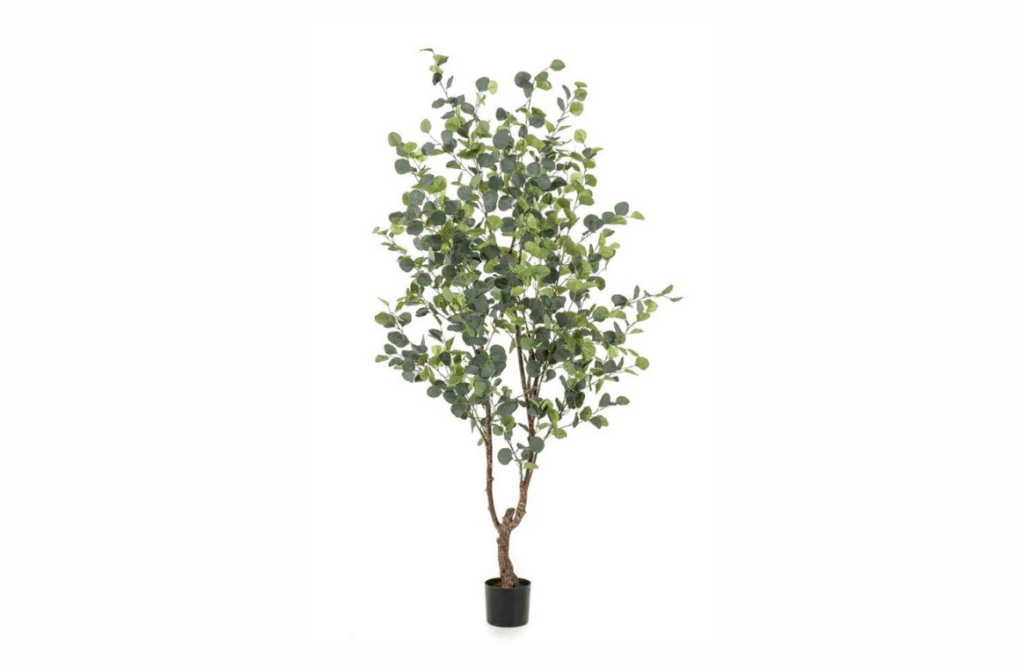Nova Design & Build - Plante Artificiale - Copac artificial Eucalyptus - 180 cm
