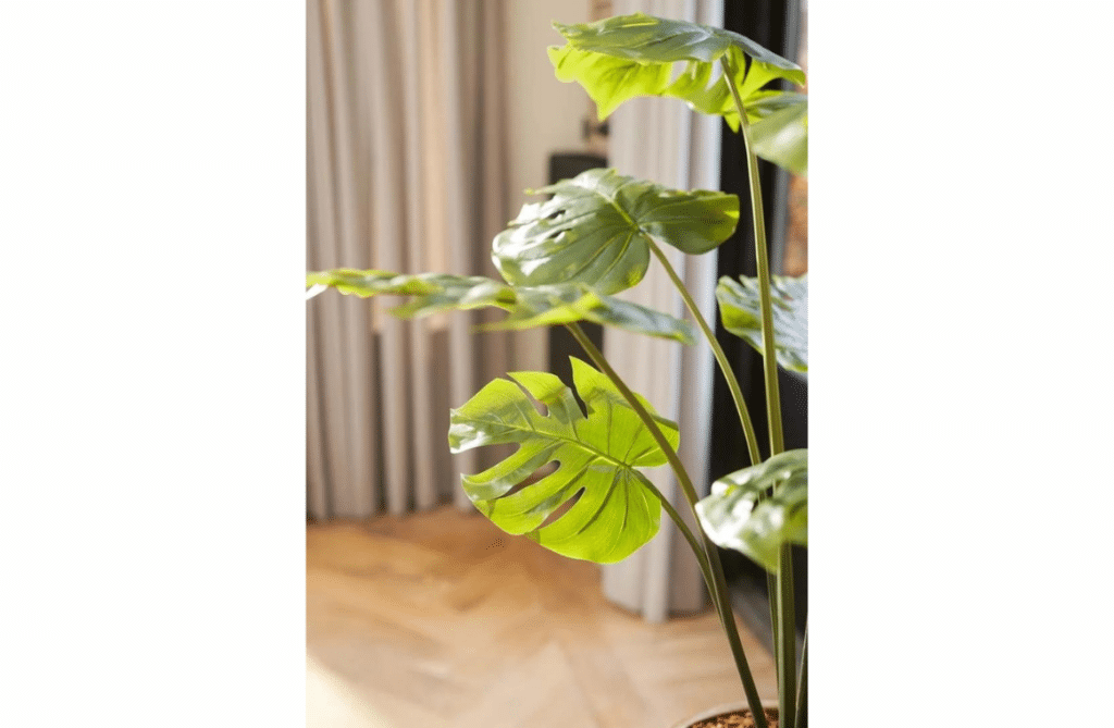 Nova Design & Build - Plante Artificiale - Planta artificiala Monstera - 95 cm - Setting