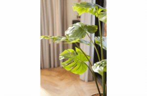 Nova Design & Build - Plante Artificiale - Planta artificiala Monstera - 95 cm - Setting