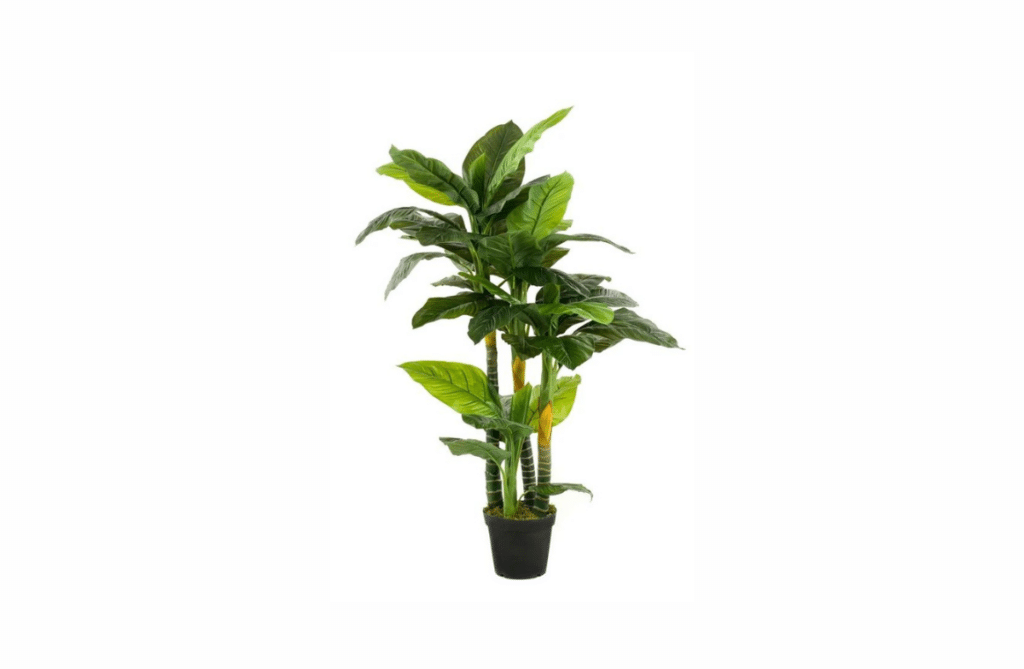 Nova Design & Build - Plante Artificiale - Planta artificiala Spathiphyllum - 160 cm