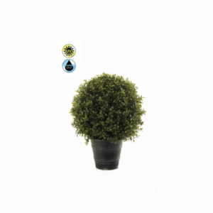 Nova Design & Build - Plante de exterior - Boxwood ball UV - 42 cm