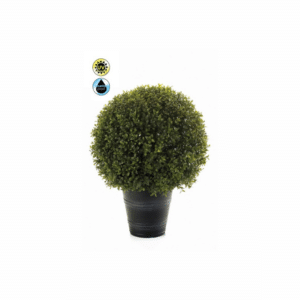 Nova Design & Build - Plante de exterior - Boxwood ball UV - 53 cm