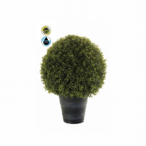 Nova Design & Build - Plante de exterior - Boxwood ball UV - 68 cm