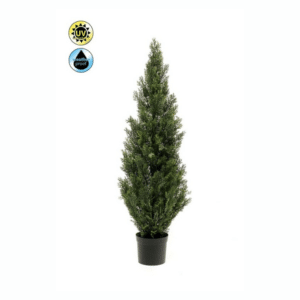 Nova Design & Build - Plante de exterior - Cedru UV - 120 cm