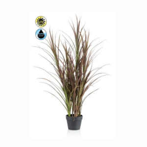 Nova Design & Build - Plante de exterior - Iarba burgundy UV - 115 cm