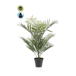 Nova Design & Build - Plante de exterior - Palmier Areca - 90 cm